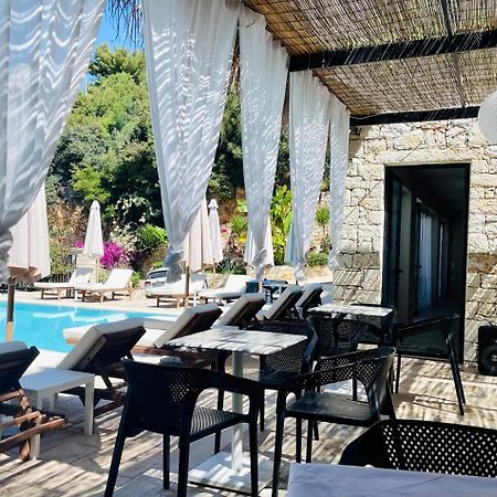 סרנדה Hotel Platon מראה חיצוני תמונה